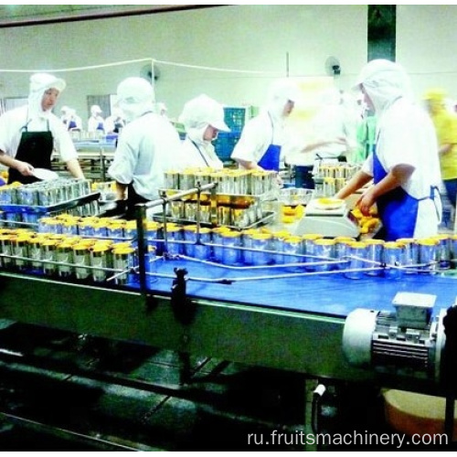 Peach/Cucumber Conneced Production Line